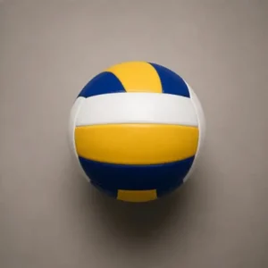Volleyball mounted on a wall